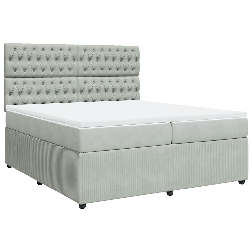 Cama com molas/colchão 200x200 cm veludo cinzento-claro
