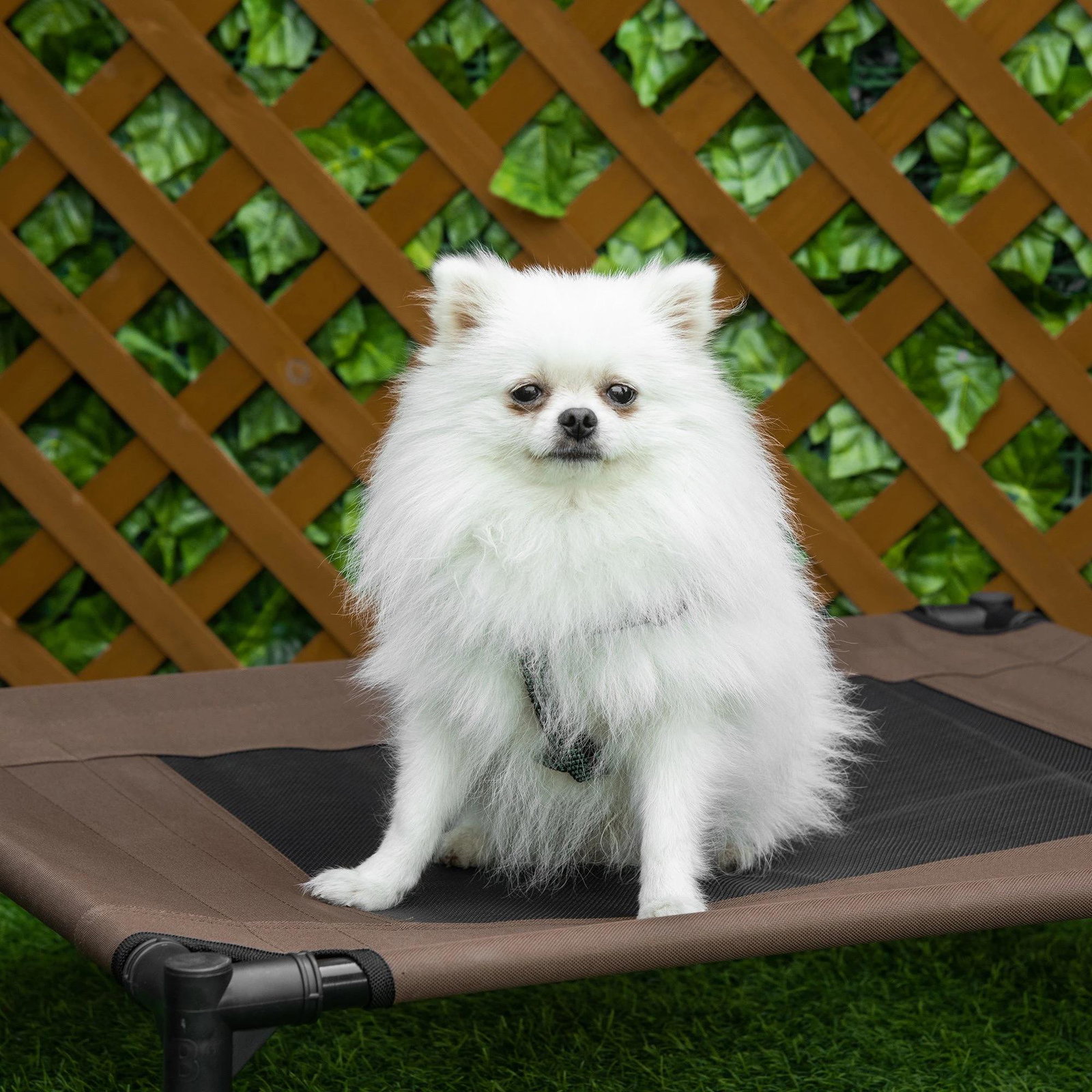Cama para Animais de Estimação Cama Elevada para Cães Gatos Portátil Tecido Transpirável para Exterior Interior 76x61x18cm Marro