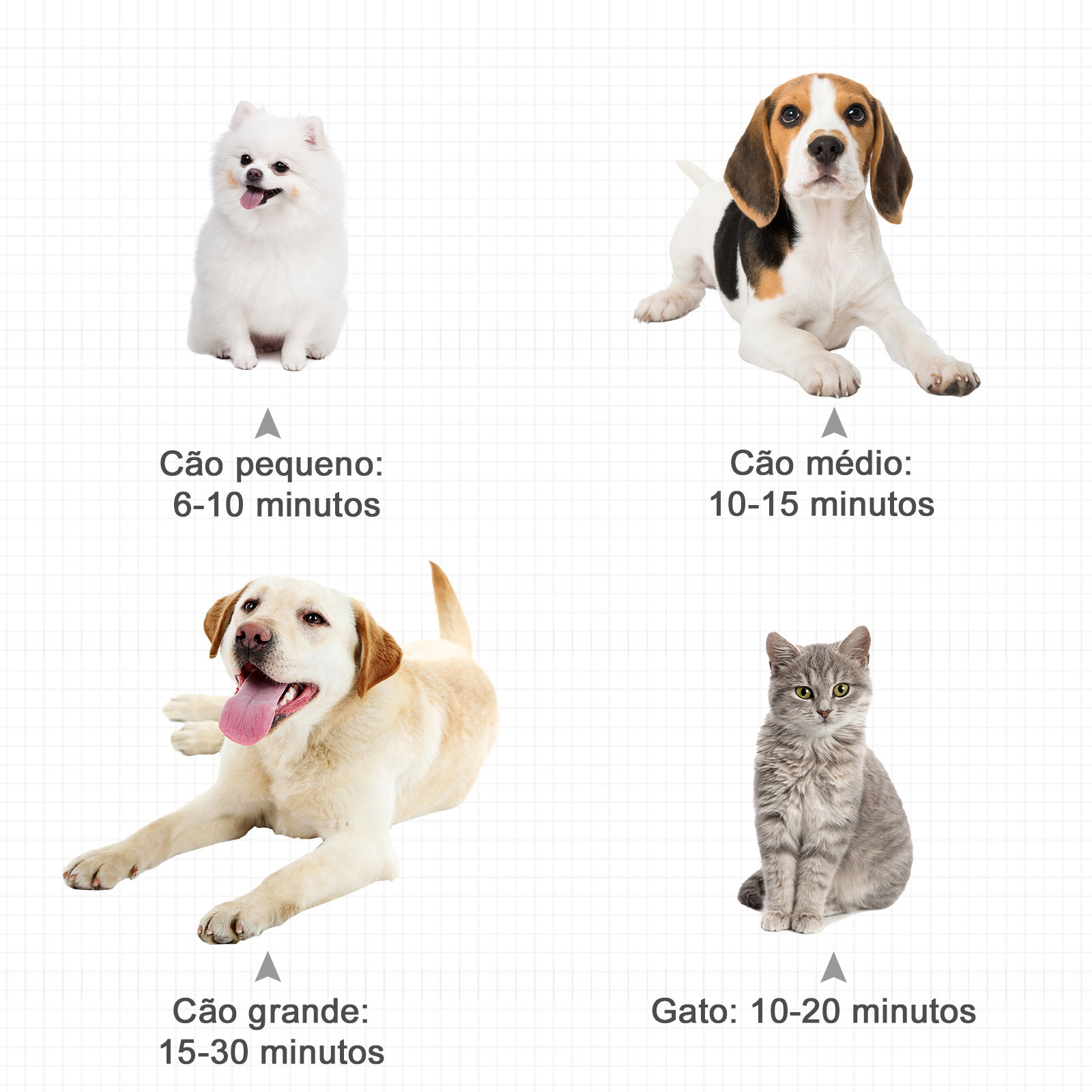 Secado de pelo para cães 2800w secador de pelo para animais de estimação com temperatura e velocidade ajustável 3 bicos tubo flexível 2,5m e alça de transporte 40x16x20cm preto
