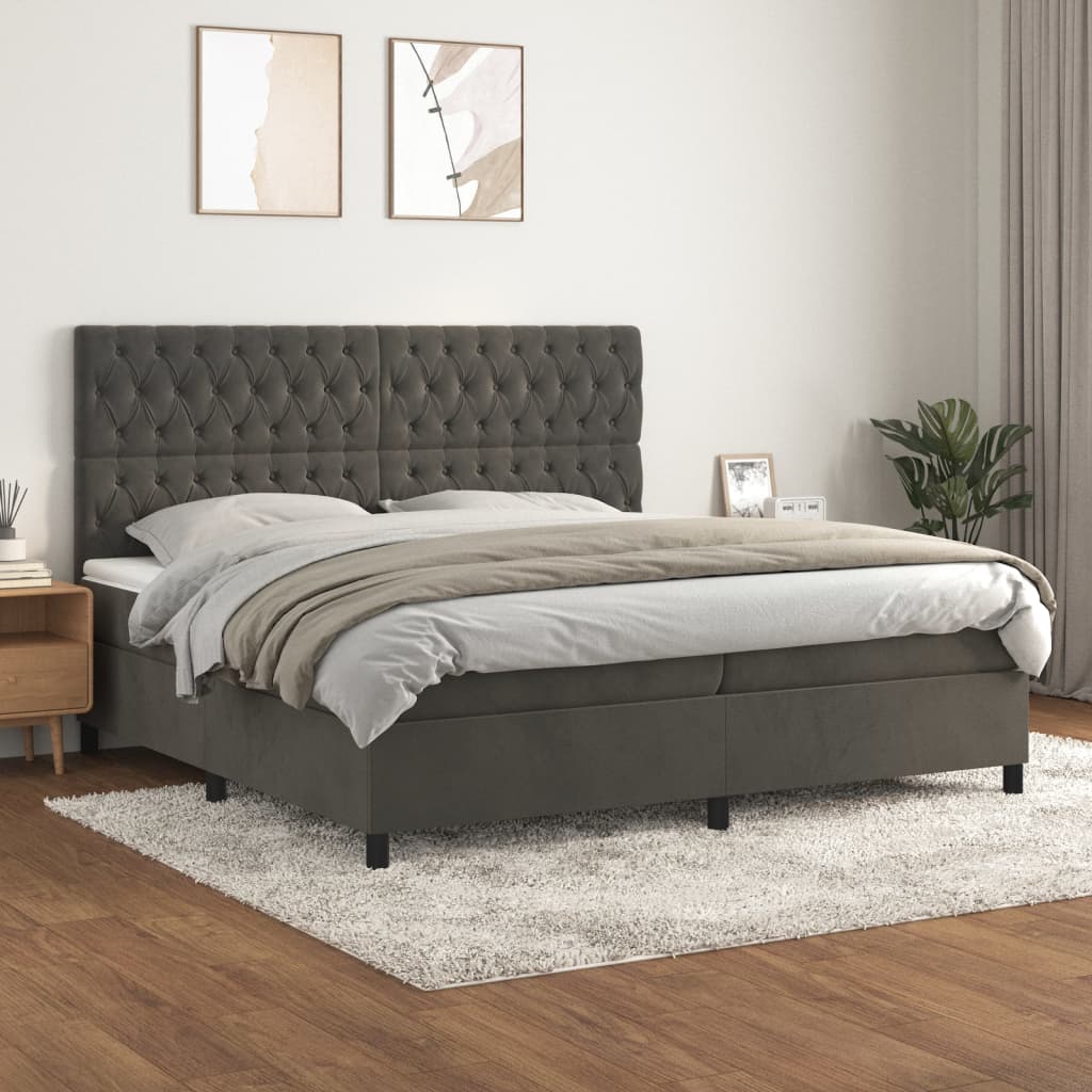 Cama com molas/colchão 200x200 cm veludo cinzento-escuro