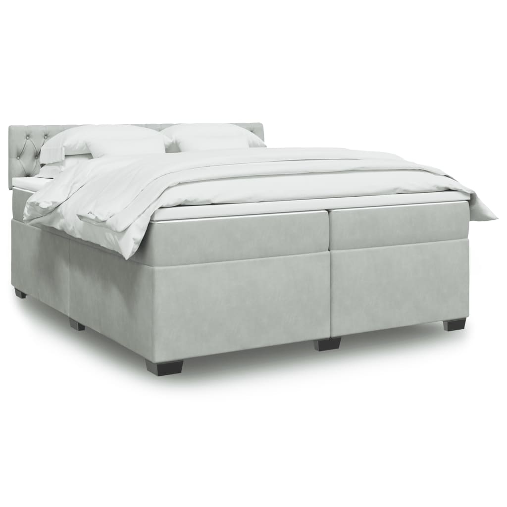 Cama com molas/colchão 200x200 cm veludo cinzento-claro
