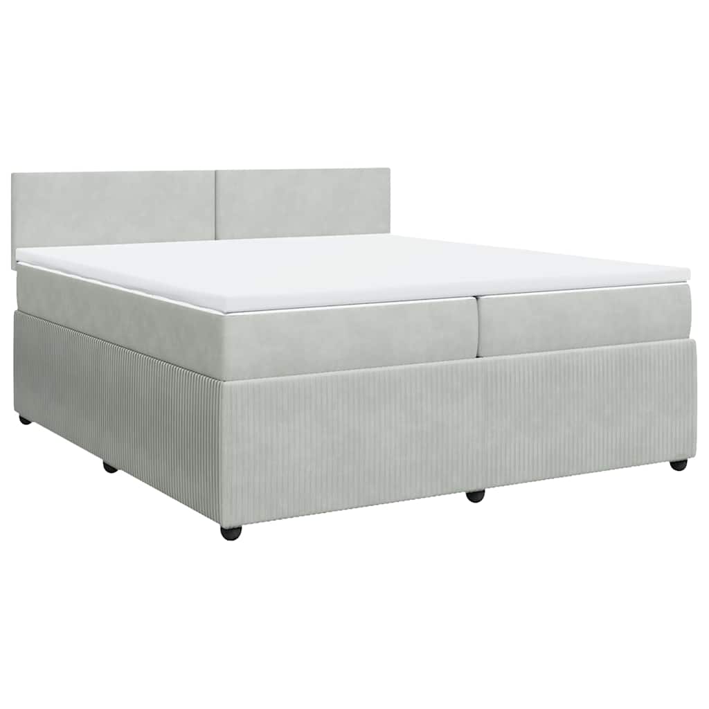 Cama com molas/colchão 200x200 cm veludo cinzento-claro