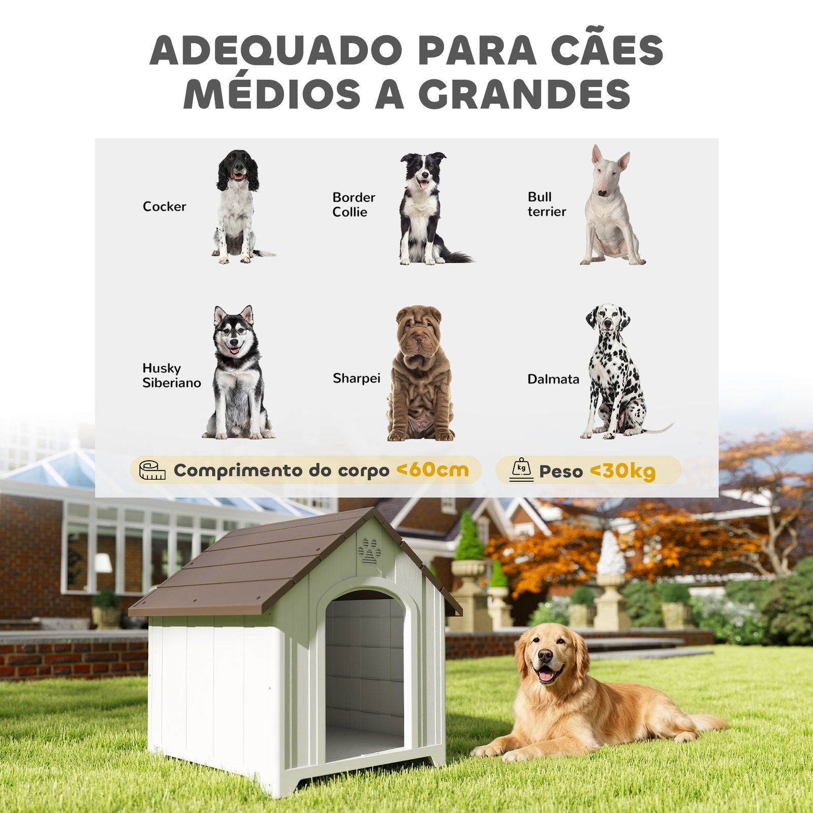 Casota para cães de exterior casa para cães grandes de plástico com 2 janelas base elevada estacas castanho escuro