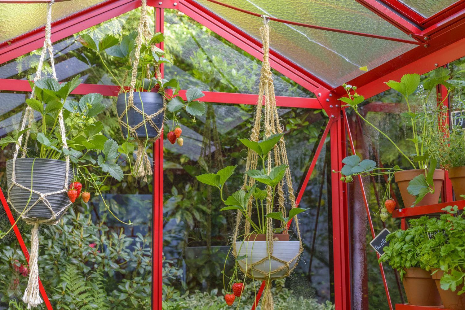 Estufa de Vidro Luna – 3,56 m²