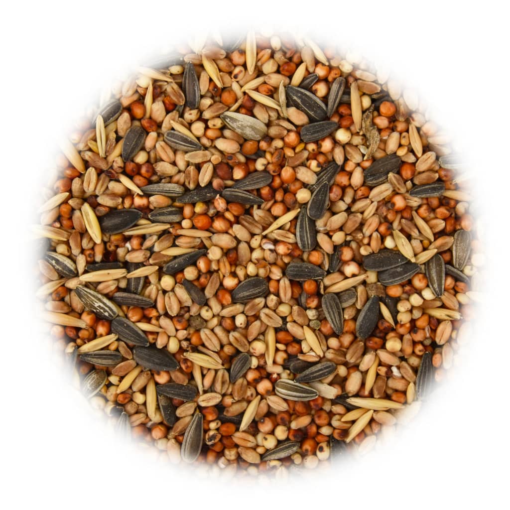Alimento para pássaros 25 kg