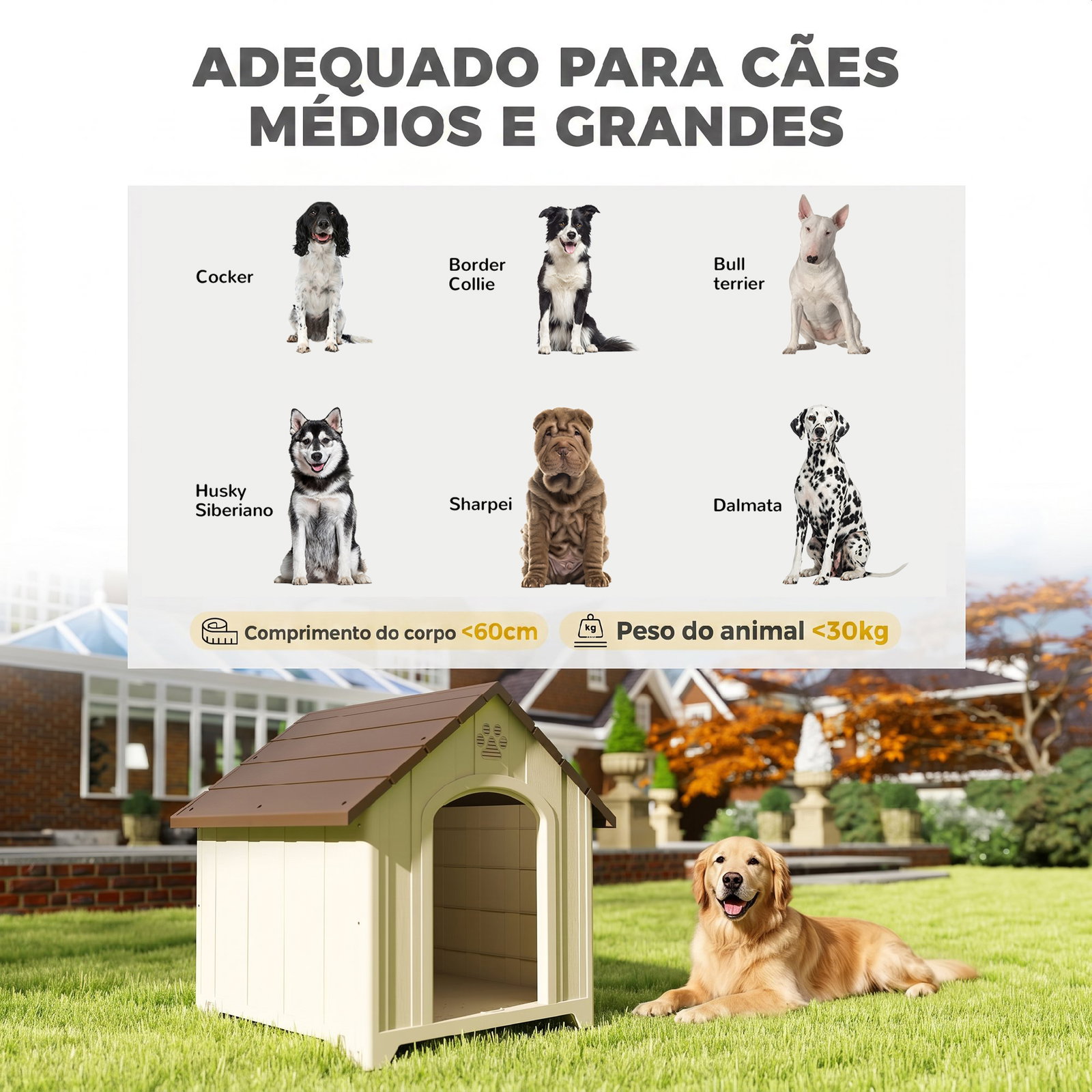 Casota para cães de exterior casa para cães grandes de plástico com 2 janelas base elevada estacas bege