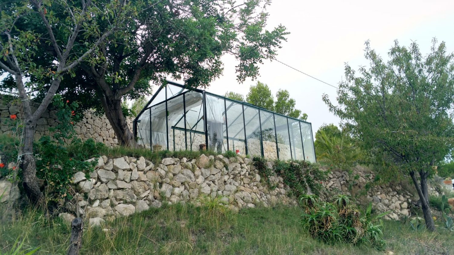 Estufa de Vidro Zenith – 15,88 m²