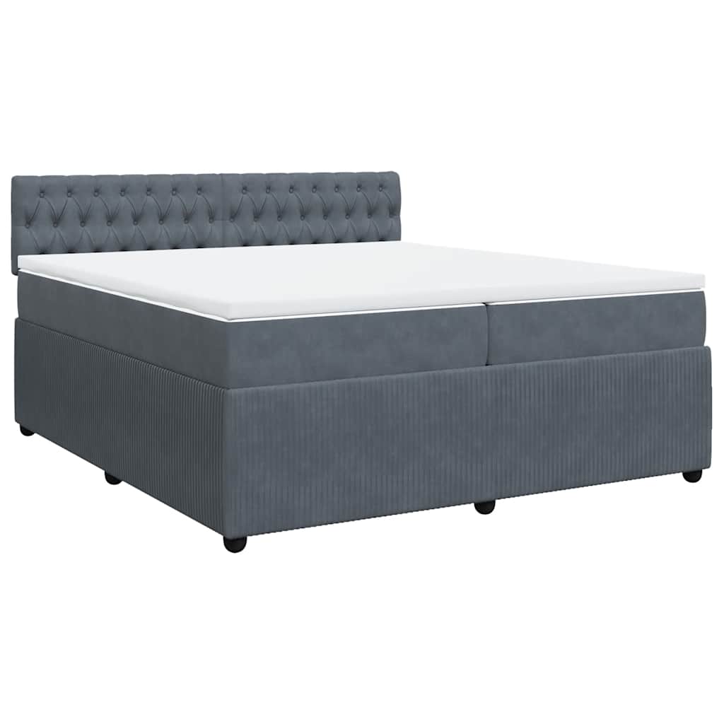 Cama com molas/colchão 200x200 cm veludo cinzento-escuro