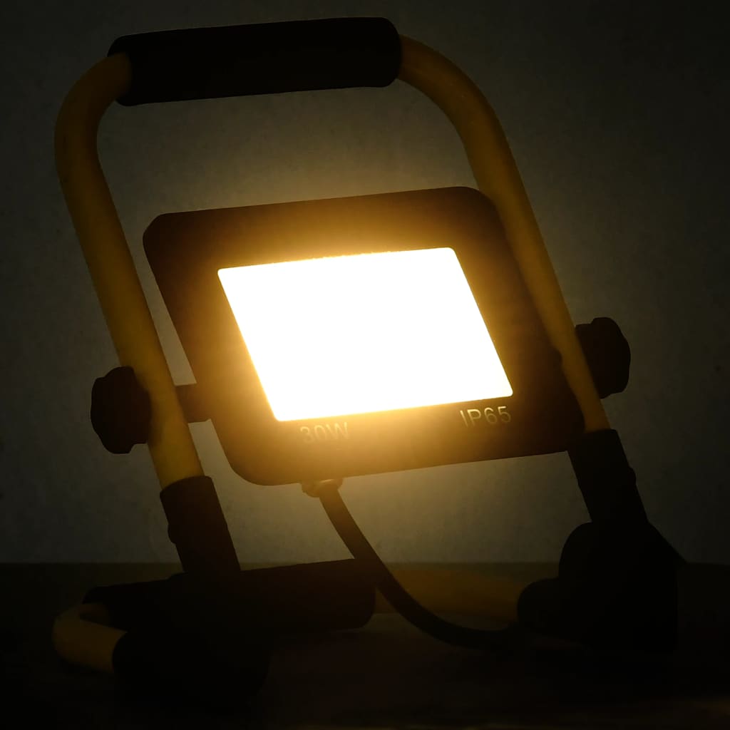 Projetor c/ iluminação LED e pega 30 w branco quente