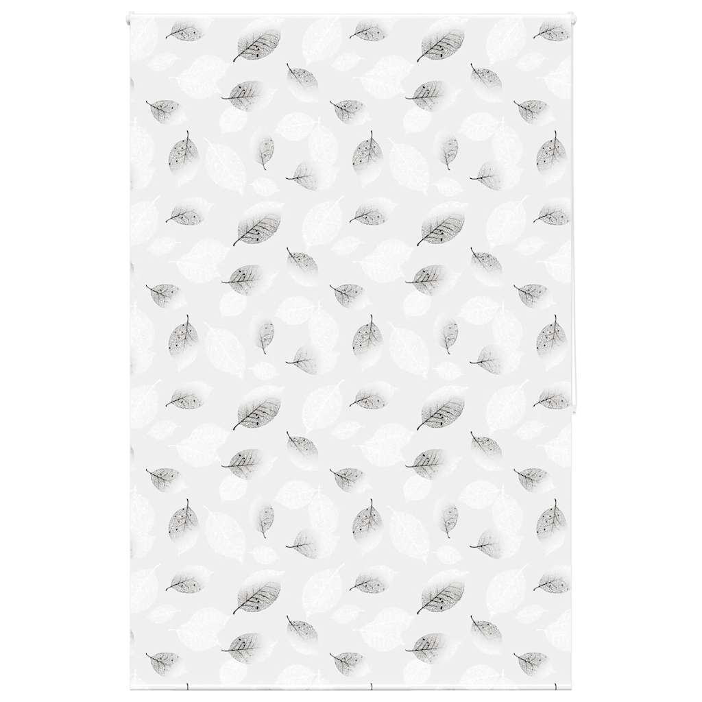 Rolo de duche estores 160x240 cm largura tecido 156 cm