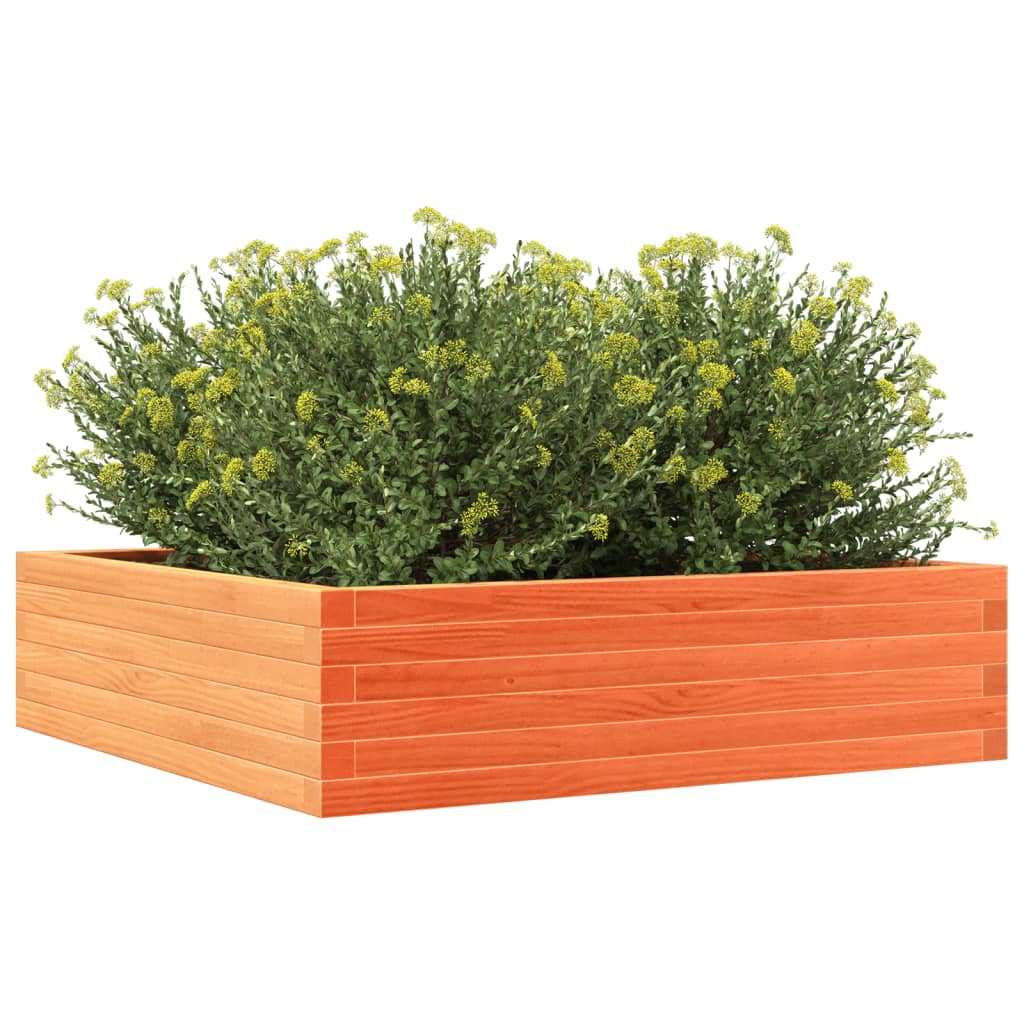 Vaso/floreira de jardim 90x90x23 cm pinho maciço castanho mel
