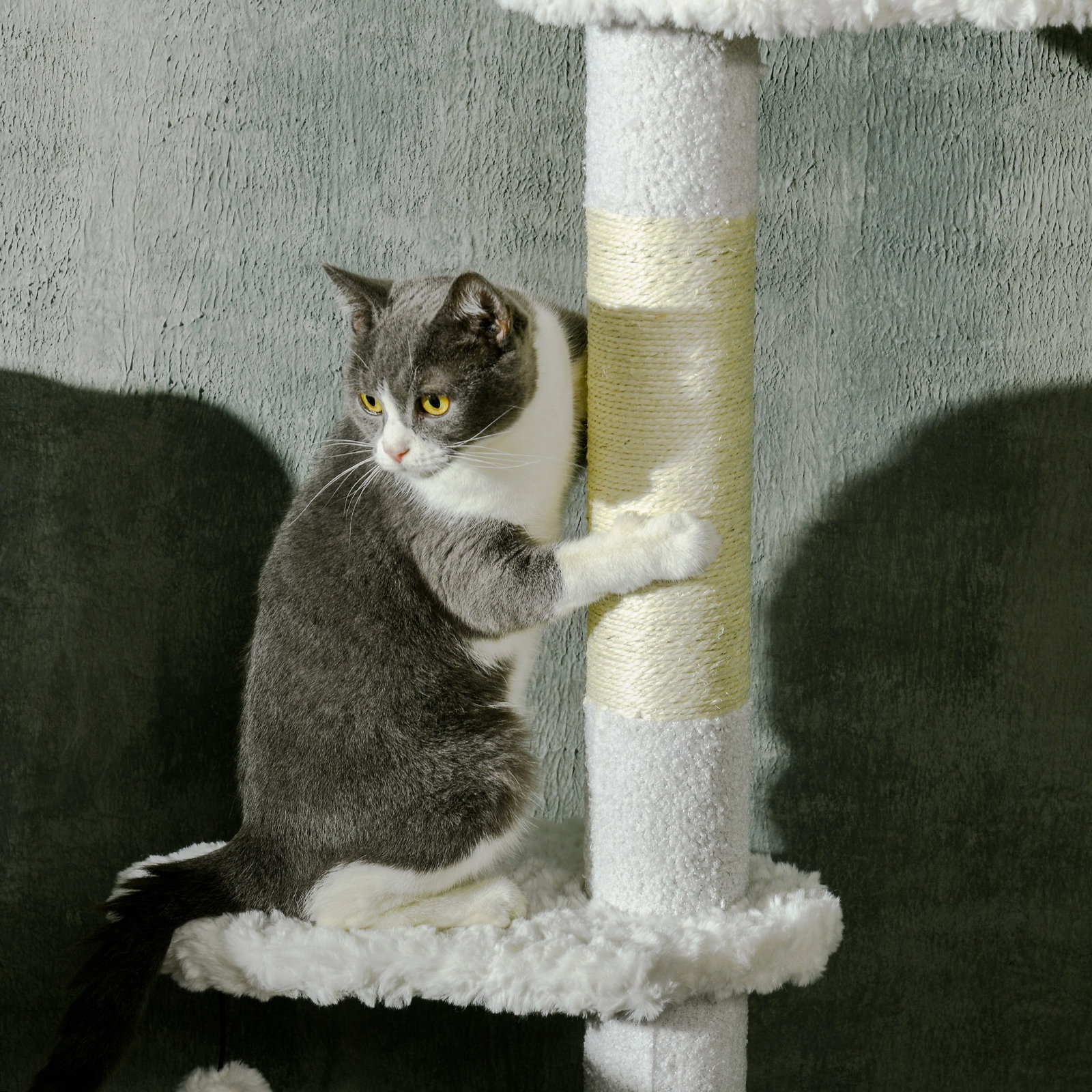Arranhador para gatos do chão ao teto com altura ajustável e 3 plataformas em forma de nuvem 48x32x225-255 cm branco