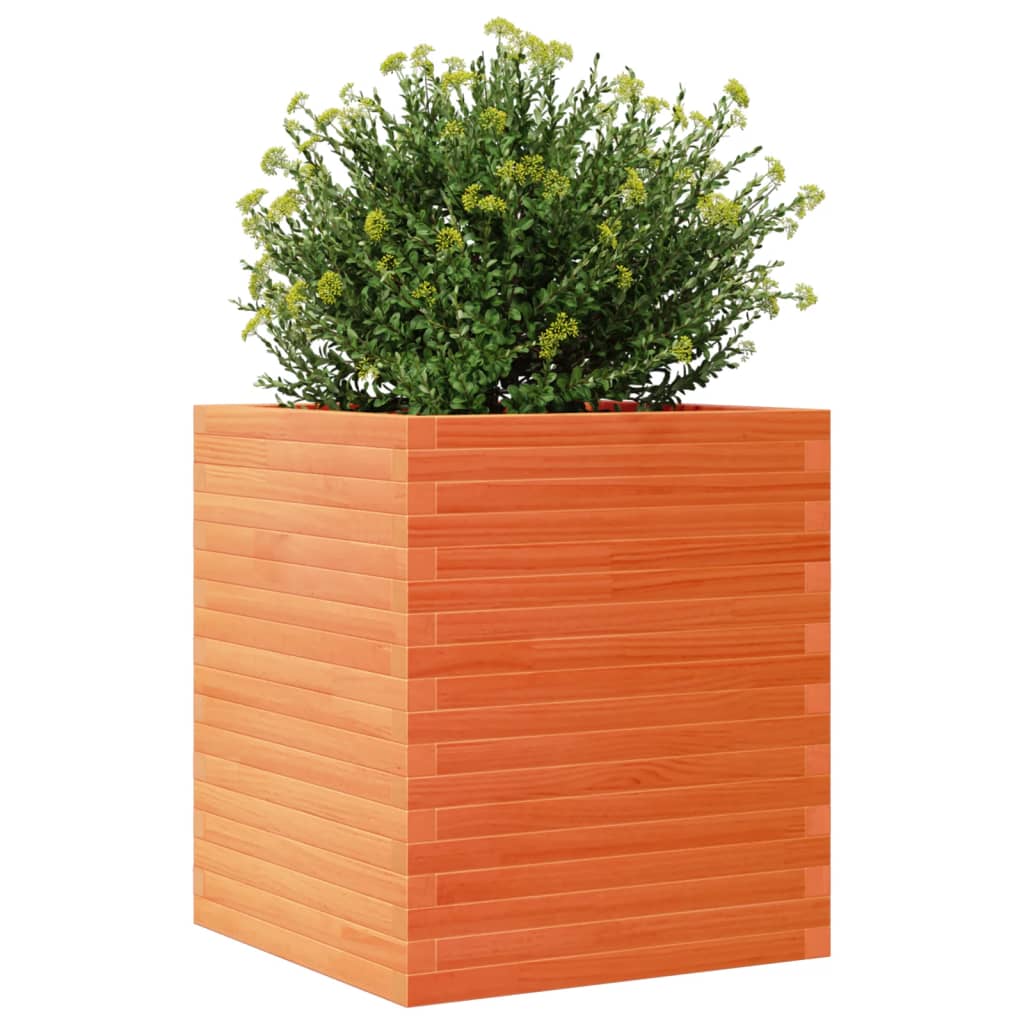 Vaso/floreira de jardim 60x60x68,5 cm pinho maciço castanho mel