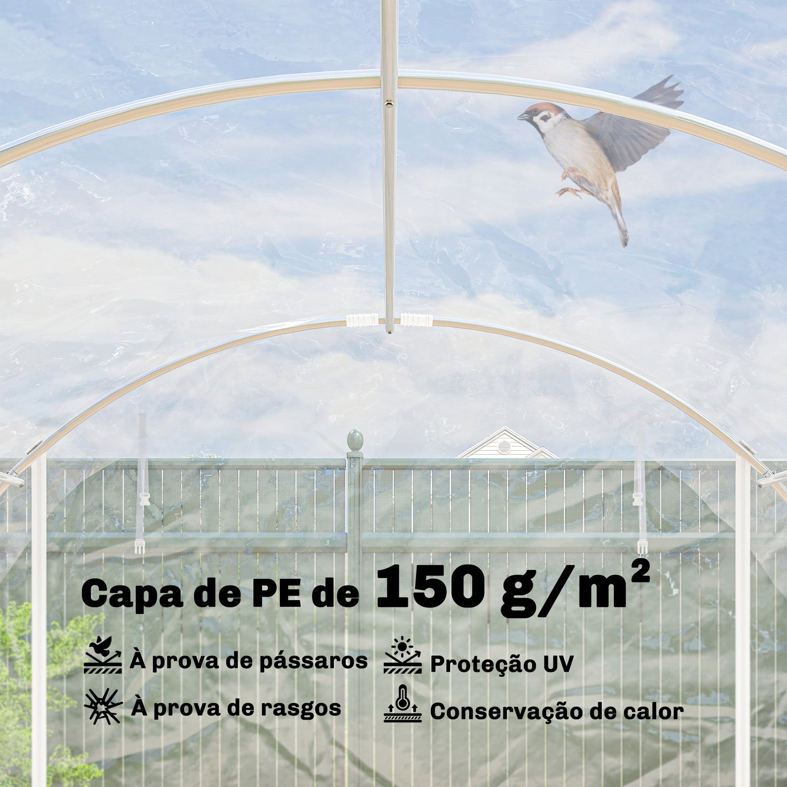 Estufa tipo túnel 296x597x199 cm com 2 portas enroláveis estrutura de aço galvanizado e cobertura em PE 150g/m² transparente