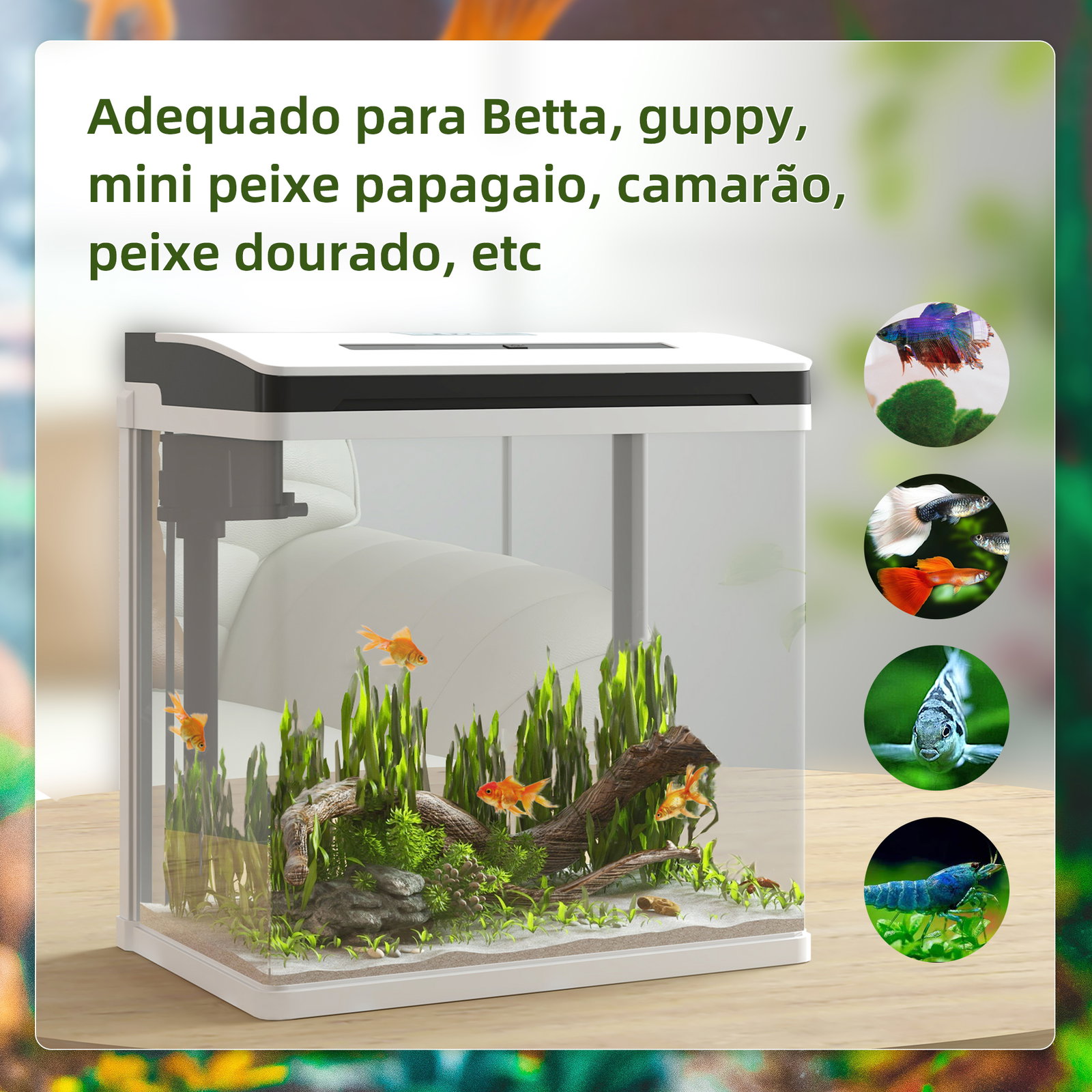Aquário de cristal de 13l aquário pequeno com sistema de filtração iluminação LED e bomba de água 29x20x30,5 cm branco