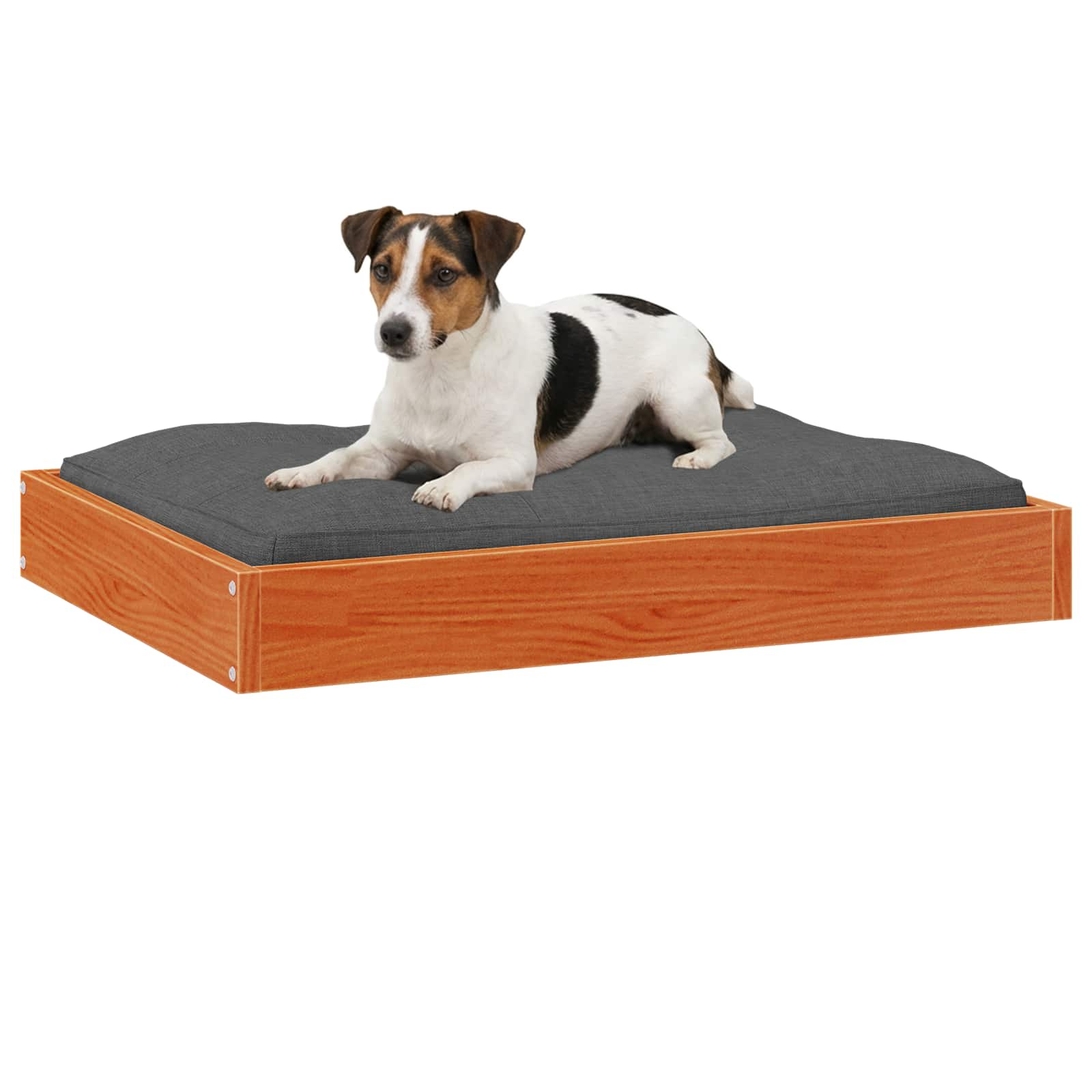 Cama para cachorro marrom cera 72 x 54 x 9 cm
