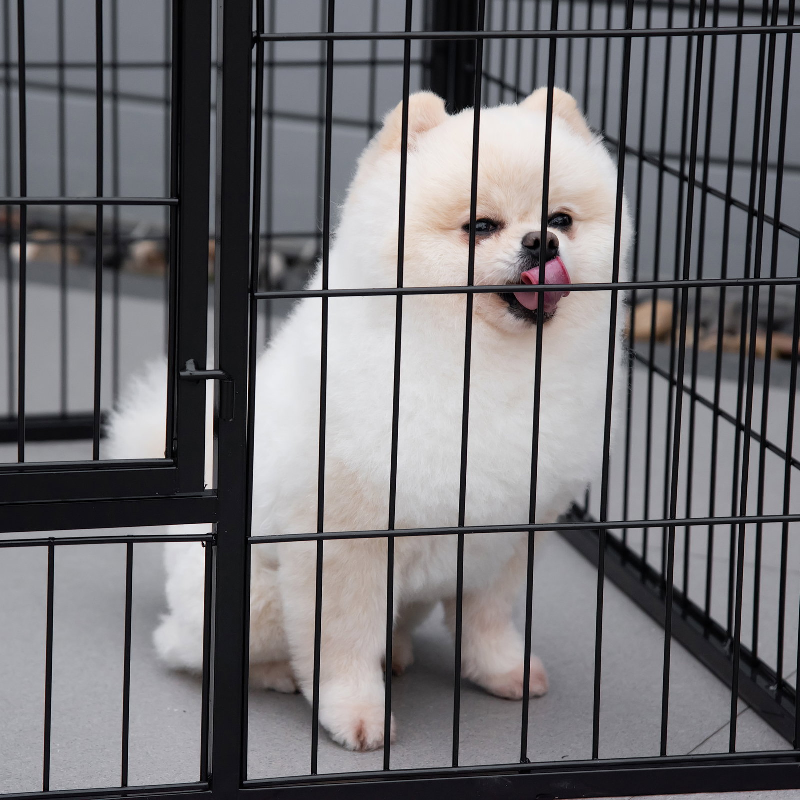 Parque para animais de estimação retangular gaiola para cães 4 paineis de metal com porta e dupla fechadura cerca de treinamento 129x84x70cm preto