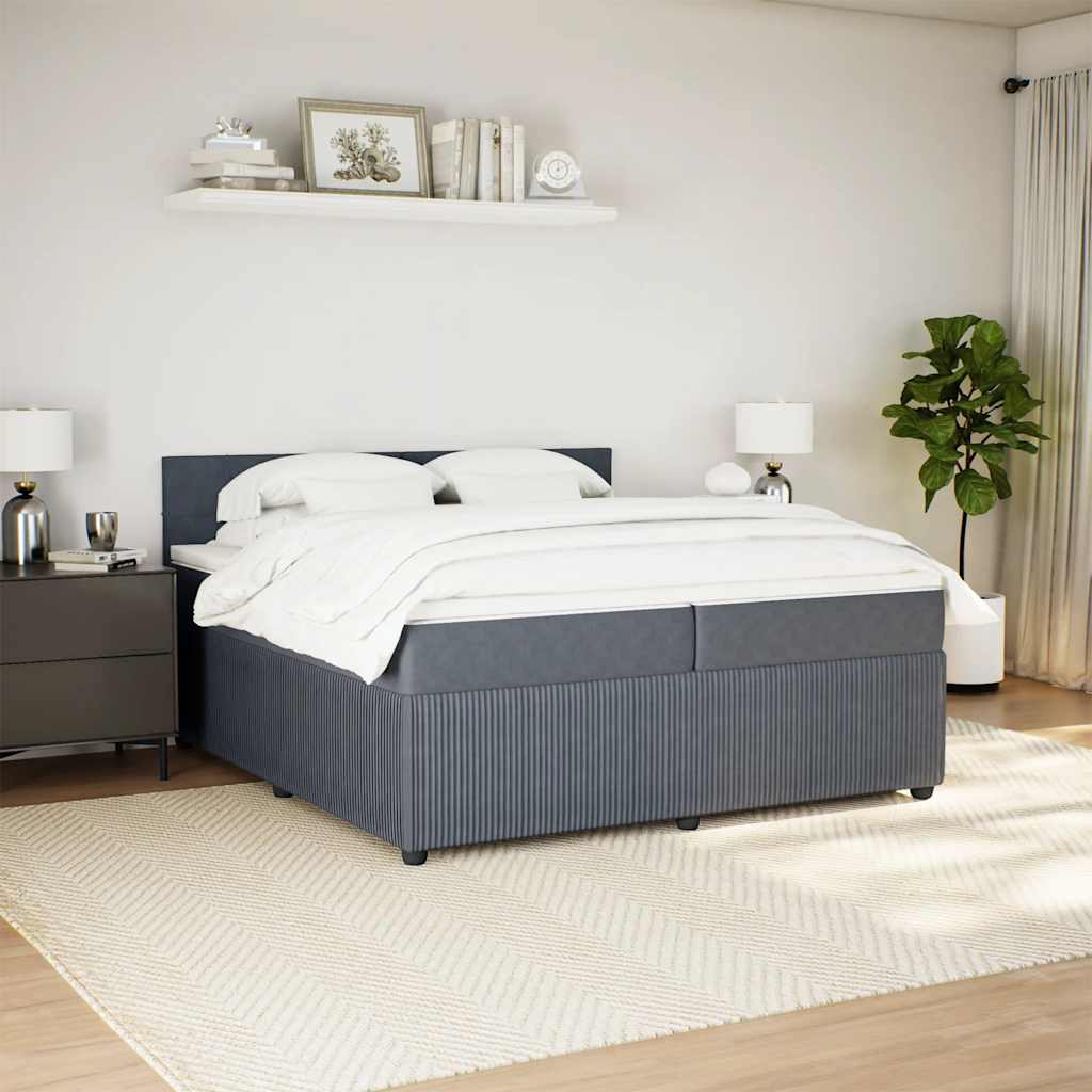 Cama com molas/colchão 200x200 cm veludo cinzento-escuro