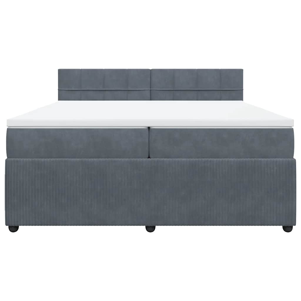 Cama com molas/colchão 200x200 cm veludo cinzento-escuro