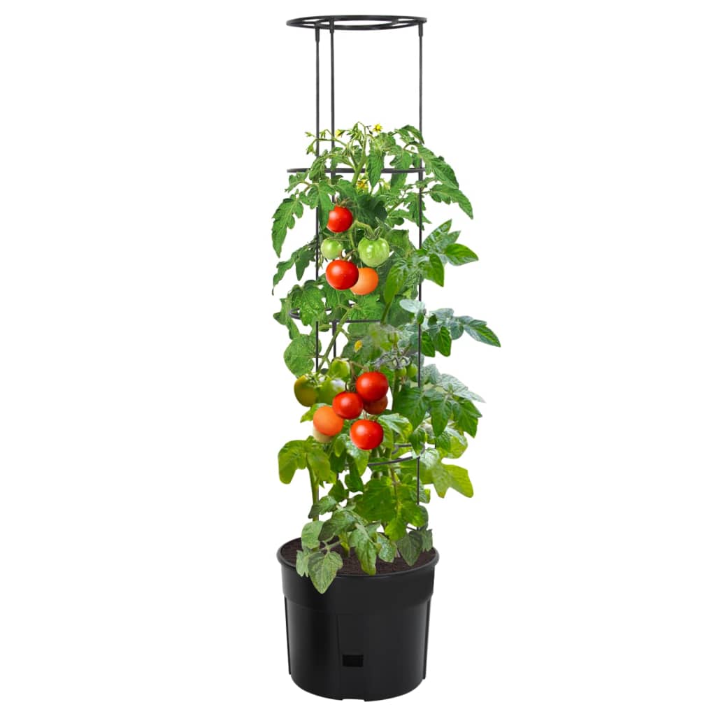 Vaso p/ cultivo de tomate ø39x150 cm polipropileno antracite