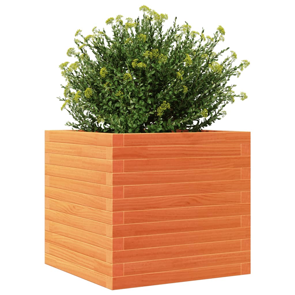 Vaso/floreira de jardim 50x50x46 cm pinho maciço castanho-mel