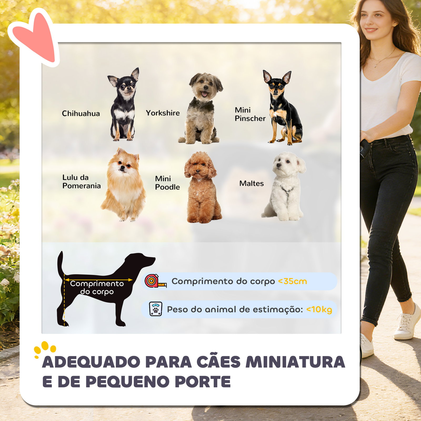 Carrinho para cães pequenos com cesto de arrumação janelas em rede e cinto de segurança 77x44x102 cm cinzento escuro