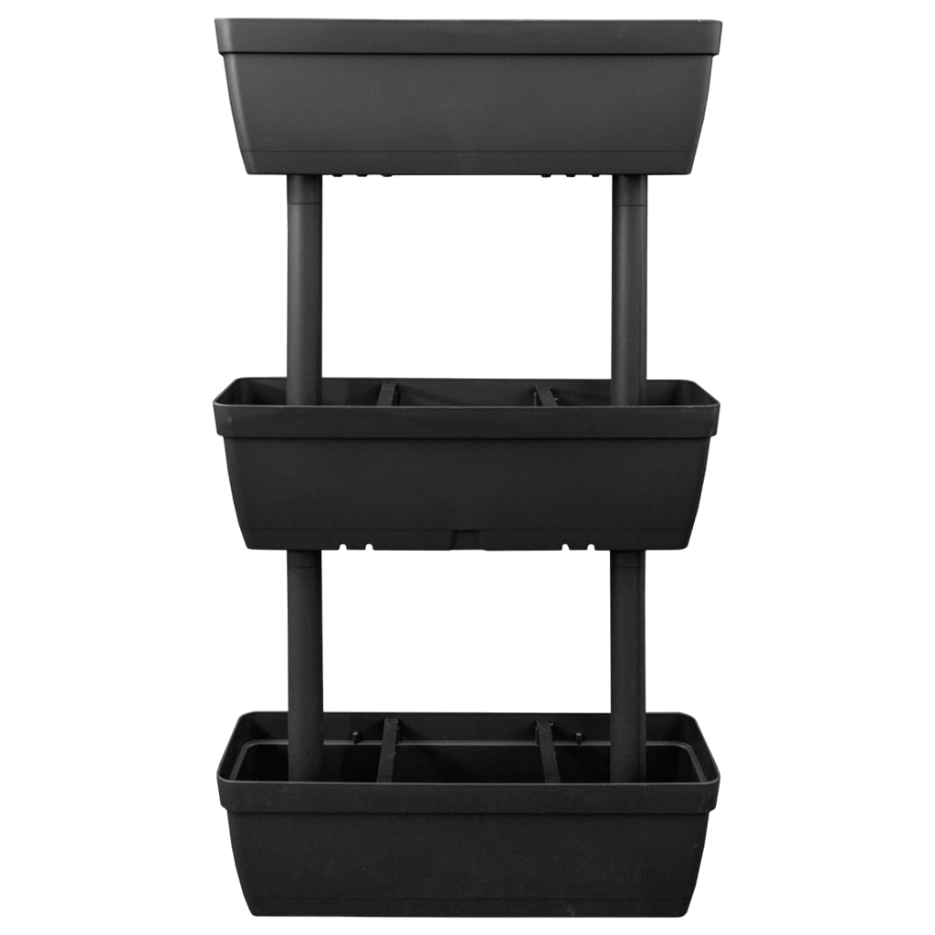 Floreiras de jardim 6 pcs 100 cm antracite