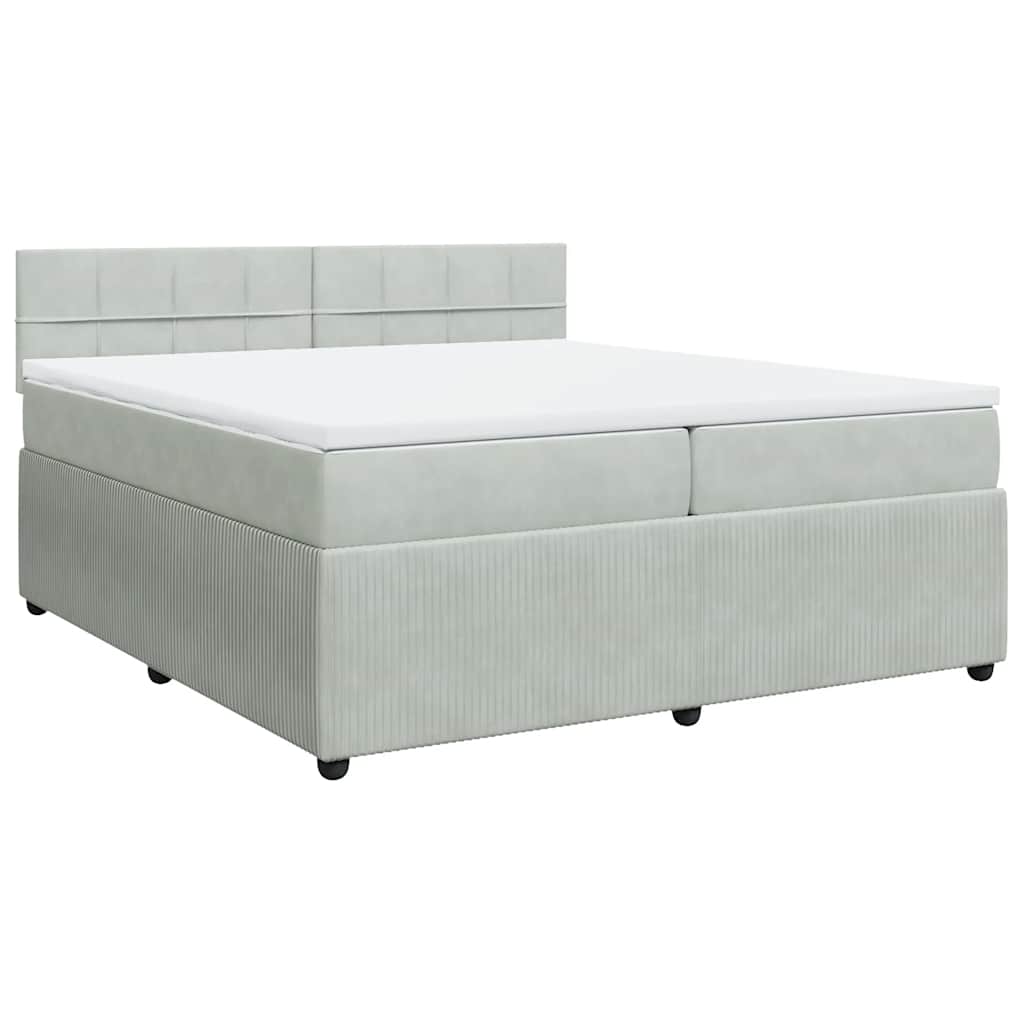 Cama com molas/colchão 200x200 cm veludo cinzento-claro