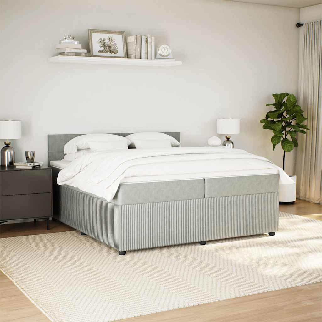 Cama com molas/colchão 200x200 cm veludo cinzento-claro