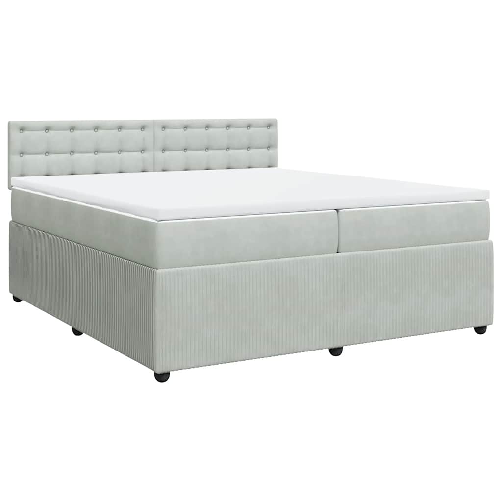 Cama com molas/colchão 200x200 cm veludo cinzento-claro