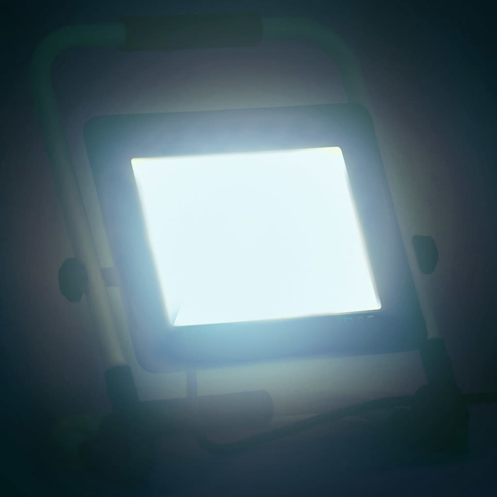 Projetor c/ iluminação LED e pega 100 w branco frio