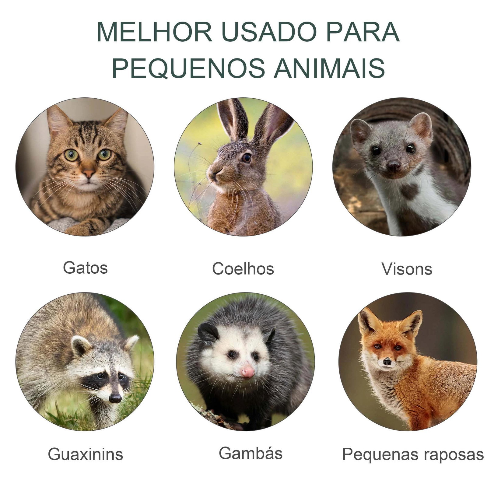 Armadilha com 2 portas para animais vivos Gaiola de captura de metal com alça 100x25x28 cm Verde escuro