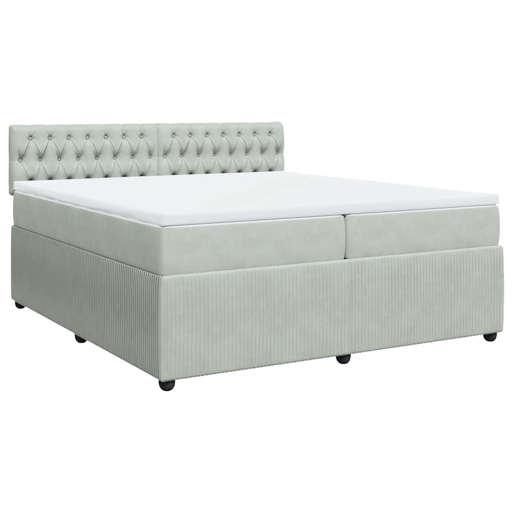Cama com molas/colchão 200x200 cm veludo cinzento-claro