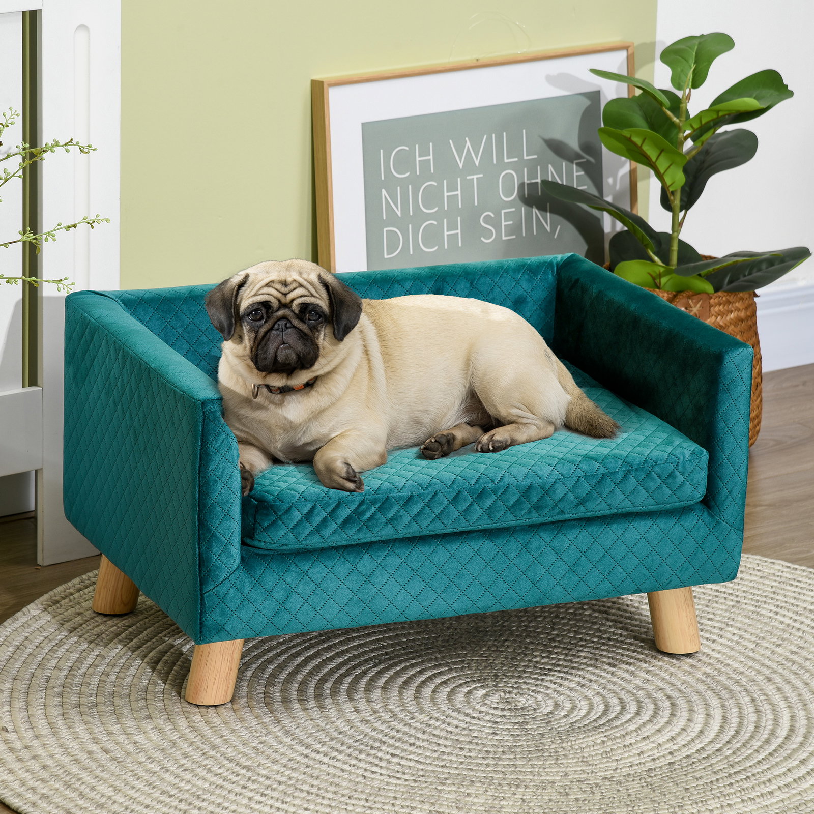 Sofá para cães pequenos 64 x 45 x 36 cm em veludo com almofada lavável e pés em madeira de bétula azul esverdeado