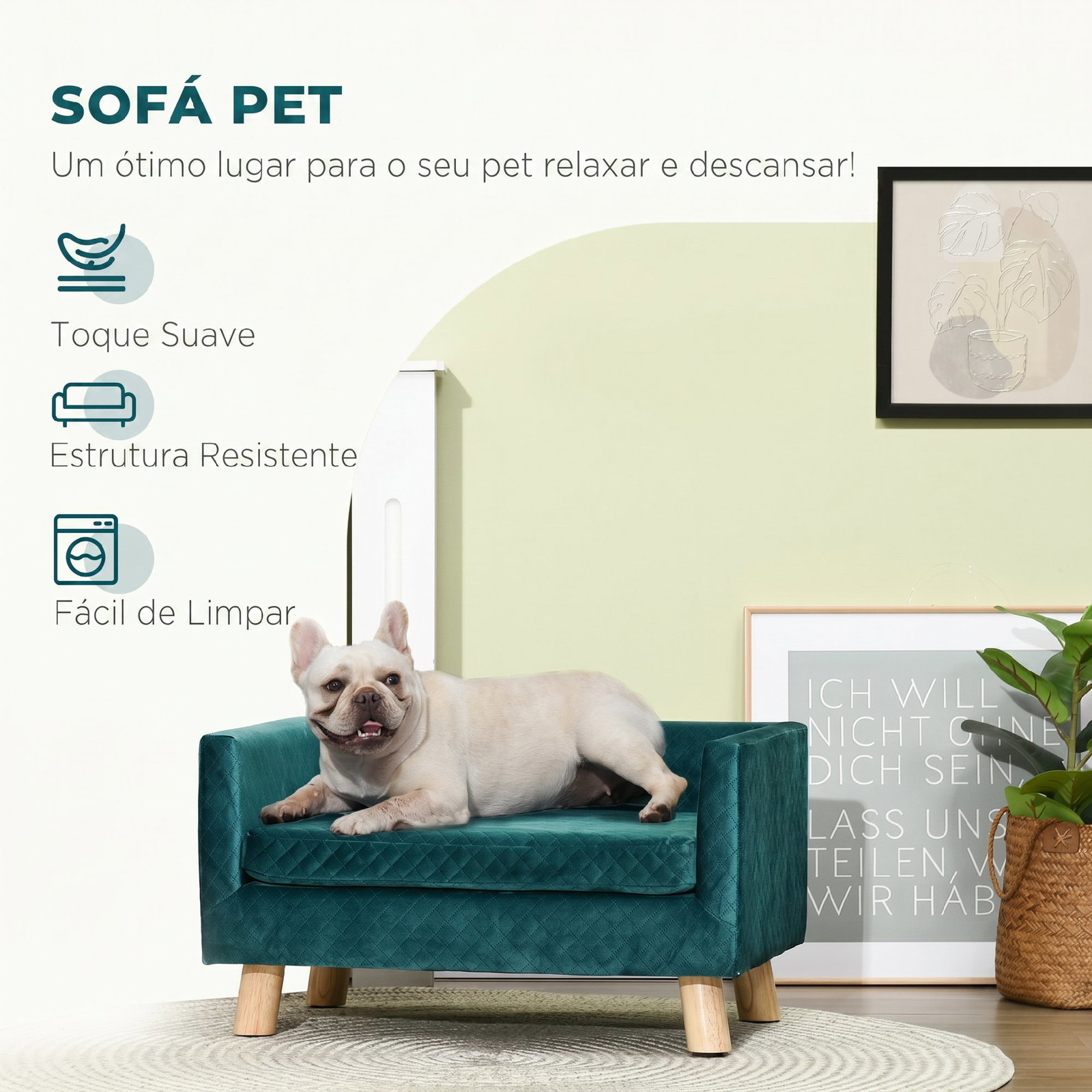 Sofá para cães pequenos 64 x 45 x 36 cm em veludo com almofada lavável e pés em madeira de bétula azul esverdeado