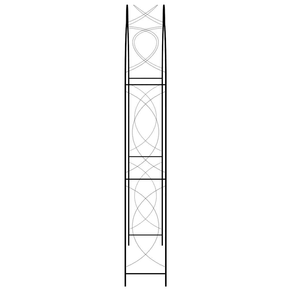 Arco de jardim 150x34x240 cm ferro preto