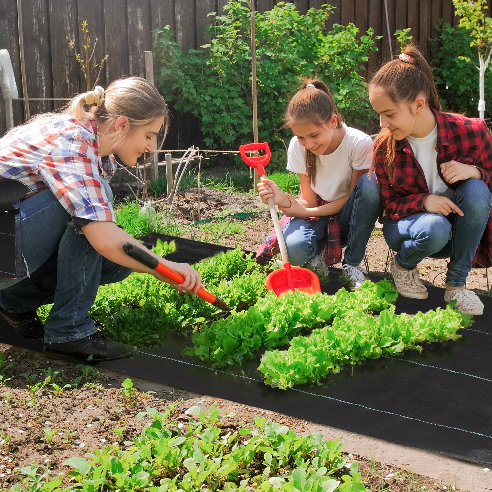 Rolo de malha anti-ervas 2x25 m malha geotêxtil 60 g/m² para controlo de ervas daninhas de jardim malha anti-ervas preta