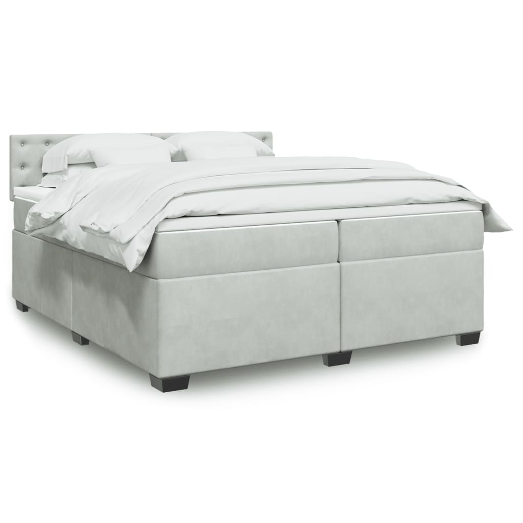 Cama com molas/colchão 200x200 cm veludo cinzento-claro