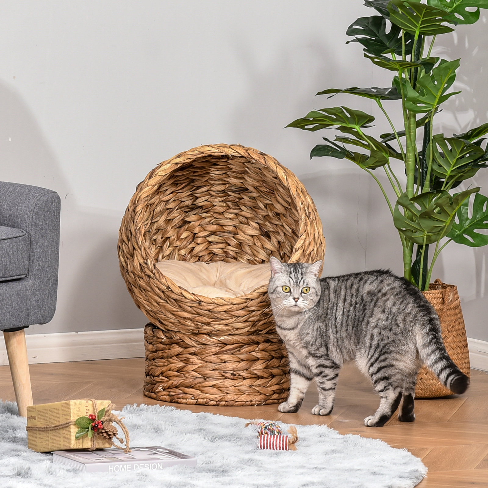 Cama destacável para gatos casa para animais de estimação menos de 5 kg design moderno almofada macia e quente 42x33x52cm