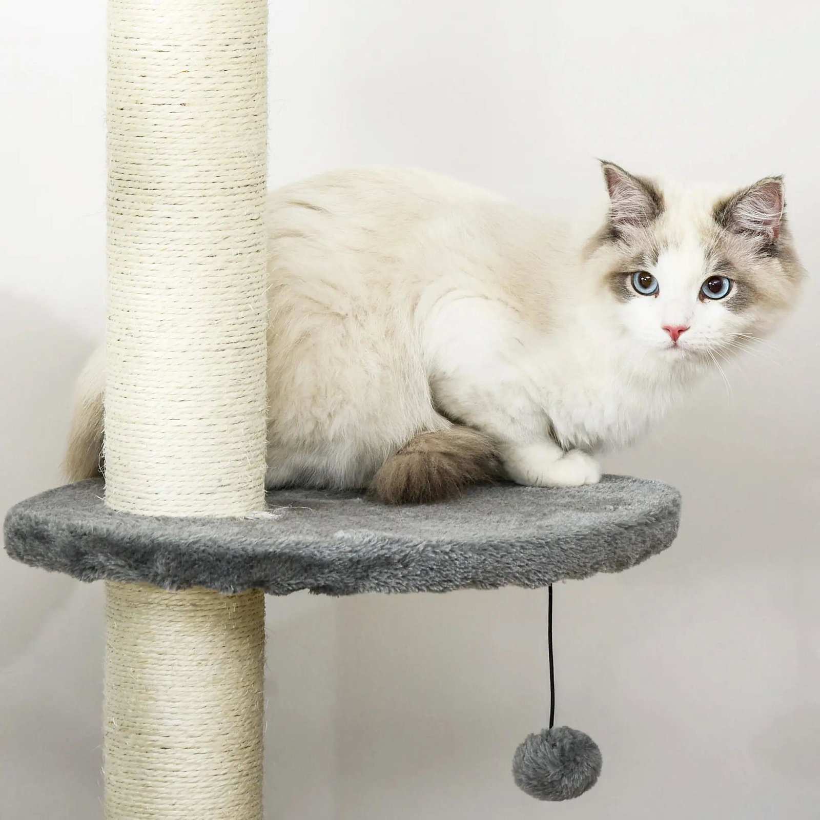 Árvore arranhador para gatos para fixar ao teto altura ajustável 229-235cm 260-266cm com plataformas caverna postes de sisal bolas penduradas 40x40x217 cm cinza claro