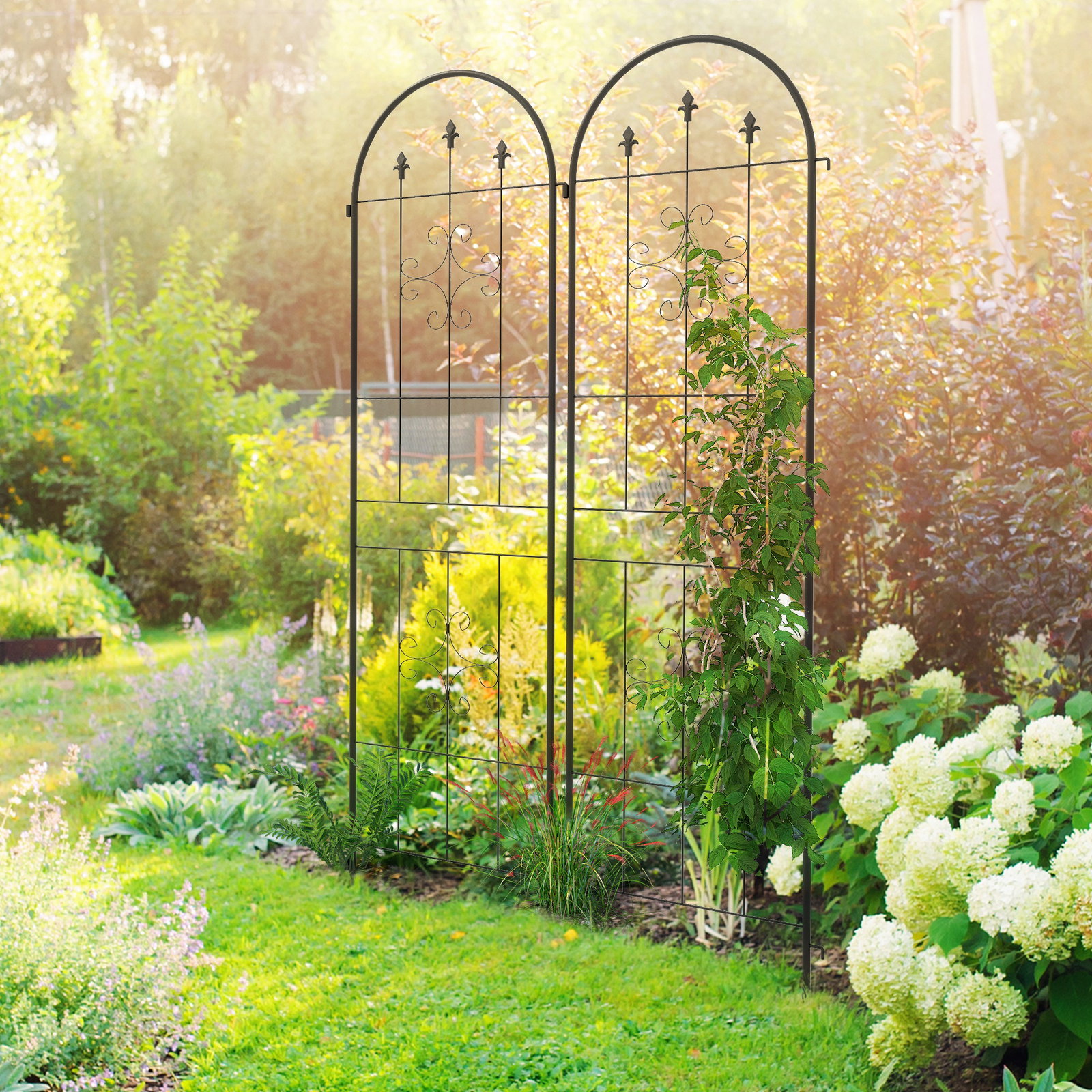 Conjunto de 2 treliças de jardim suportes para trepadeiras de aço para flores e plantas no jardim 50x180 cm preto