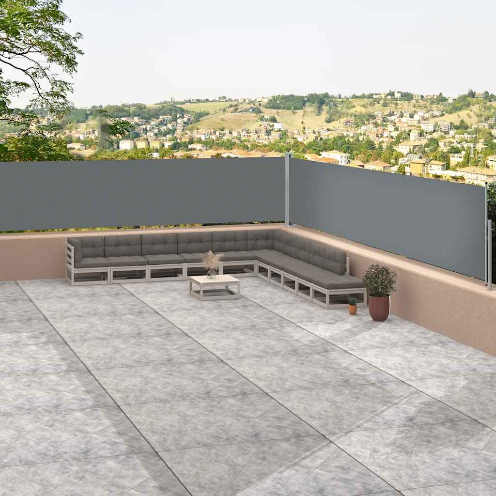 Toldo lateral retrátil 117x1200 cm antracite