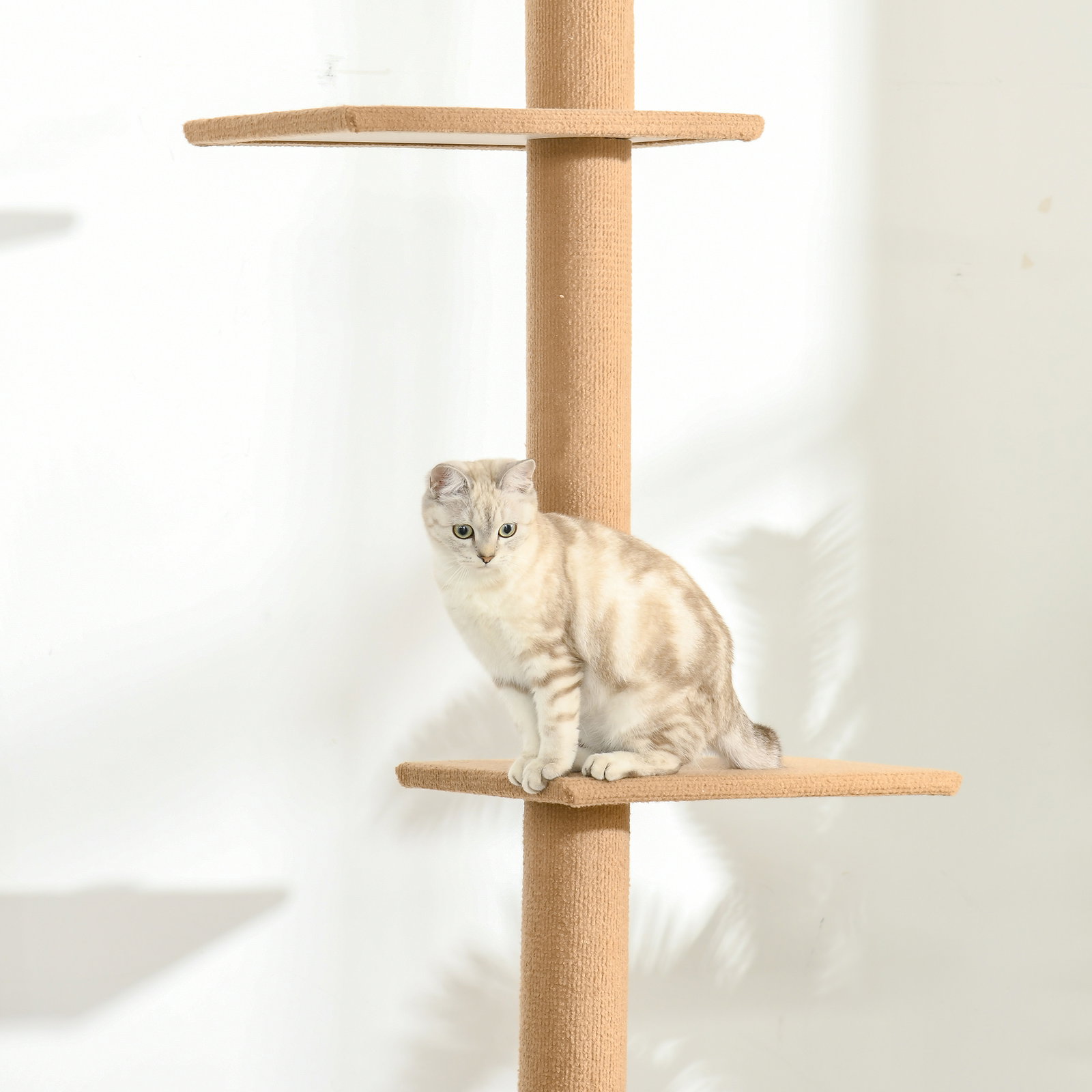 Arranhador para Gatos de Chão ao Teto Ajustável com 4 Plataformas e Poste 43x27x228-260 cm Castanho Claro
