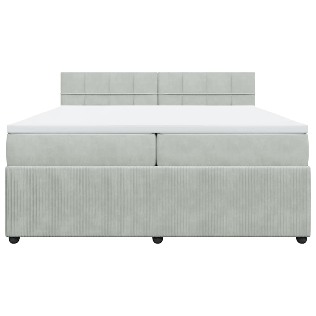 Cama com molas/colchão 200x200 cm veludo cinzento-claro