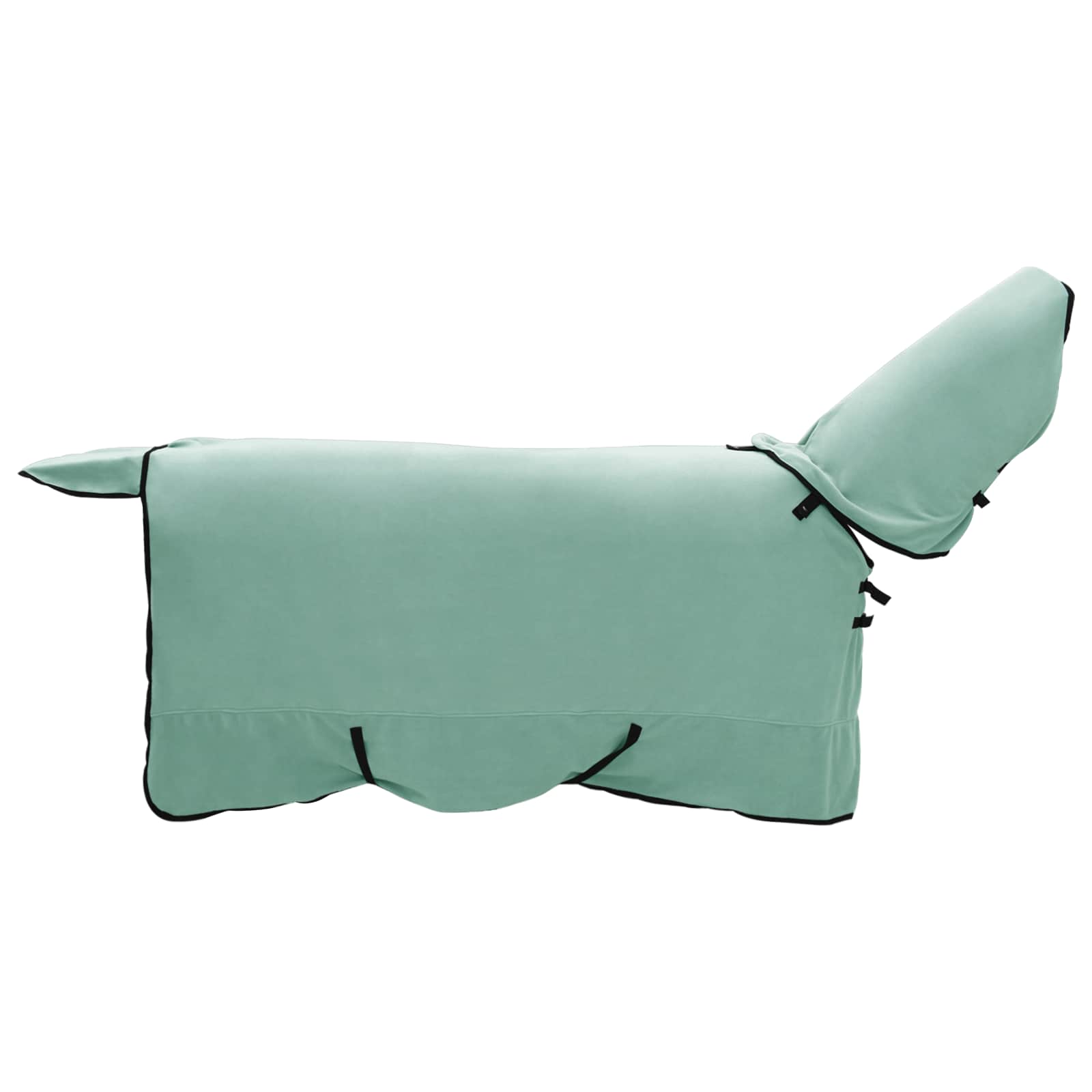 Cobertor de cavalo verde especial 165 cm poliéster