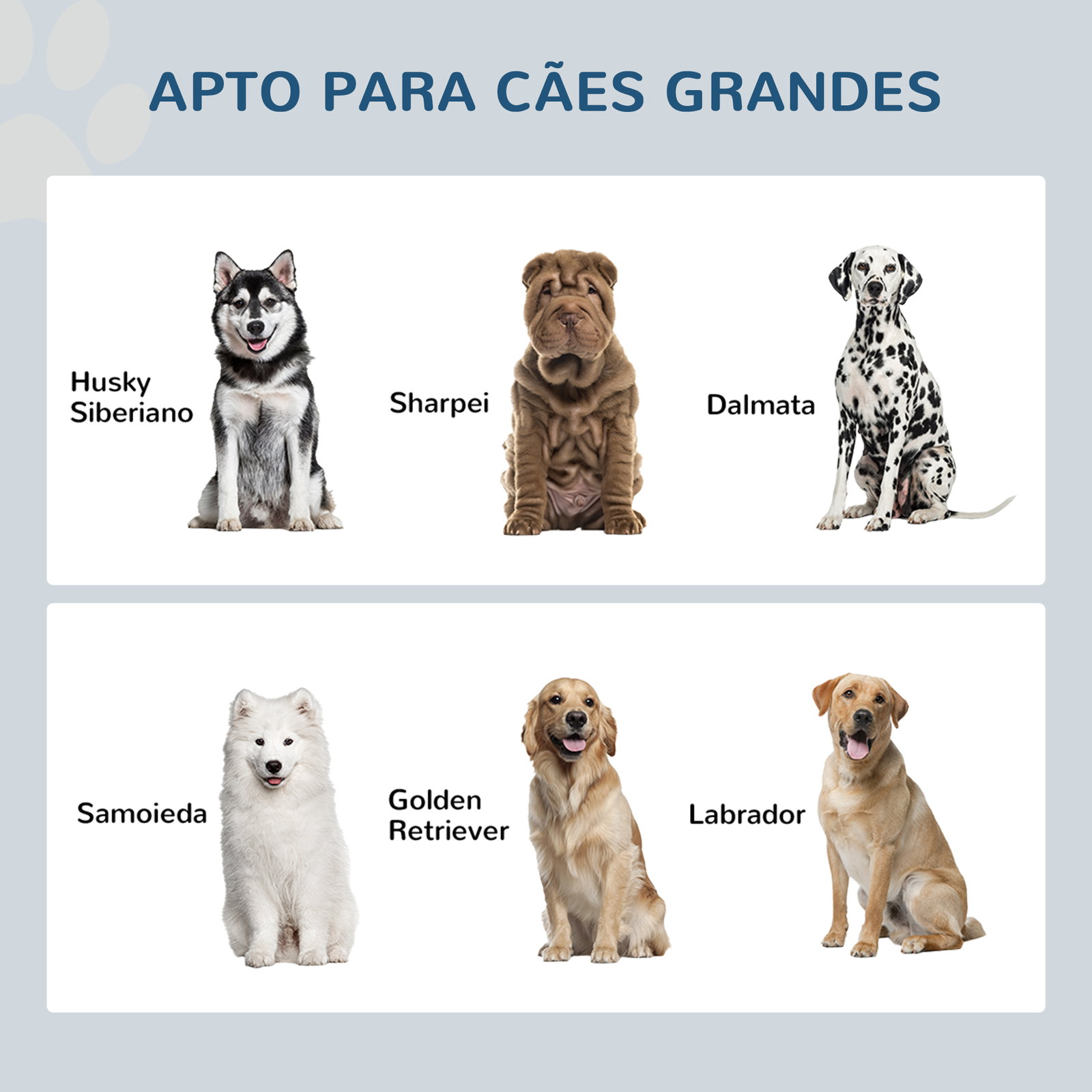 Comedouro elevado para cães grandes com 2 tigelas de 2000ml de aço inoxidável 2 portas e armazenamento 60x30x35,5cm branco