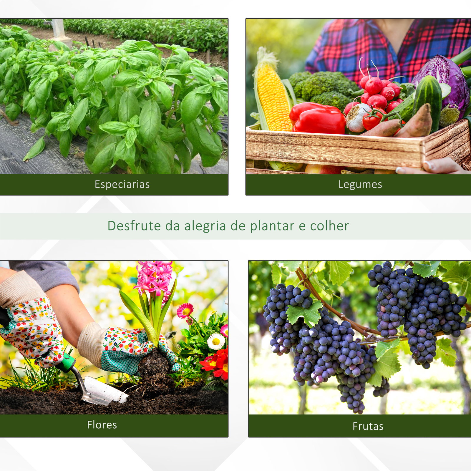 Estufa tipo túnel 8x3x2m aço e PE 140 g/m² estufa para cultivo de plantas tomates verduras com 12 janelas e porta enroláveis verde
