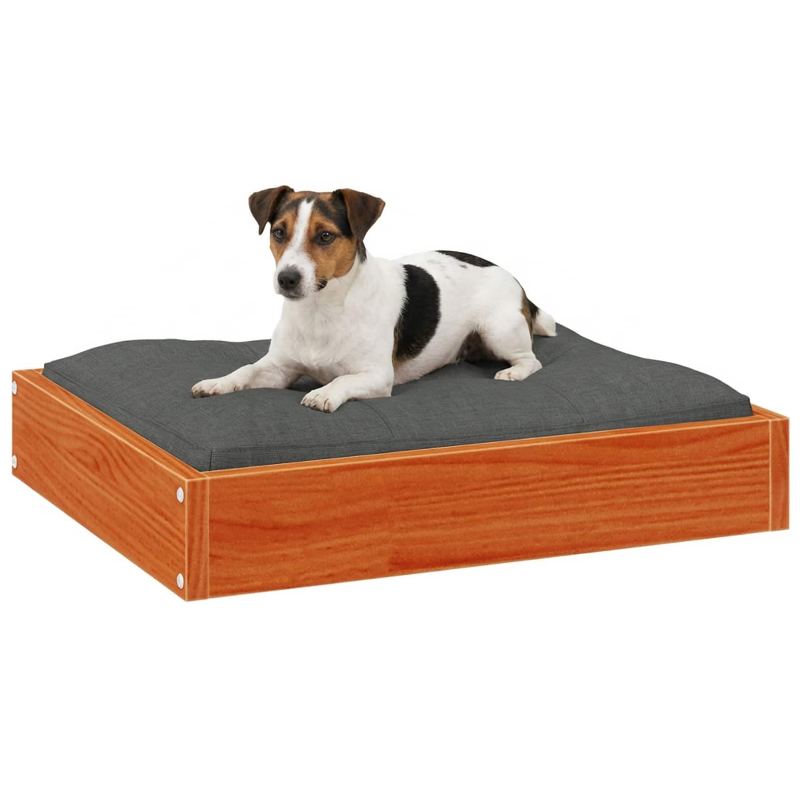 Cama para cachorro marrom cera 51,5 x 44 x 9 cm
