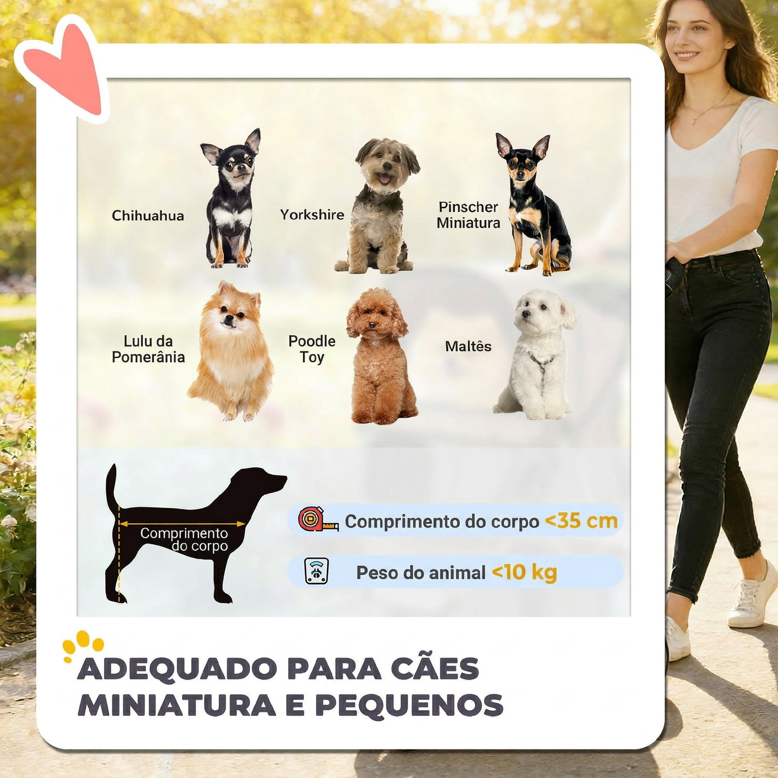 Carrinho para cães pequenos com cesto de armazenamento janelas de malha e cinto de segurança 77x44x102 cm castanho