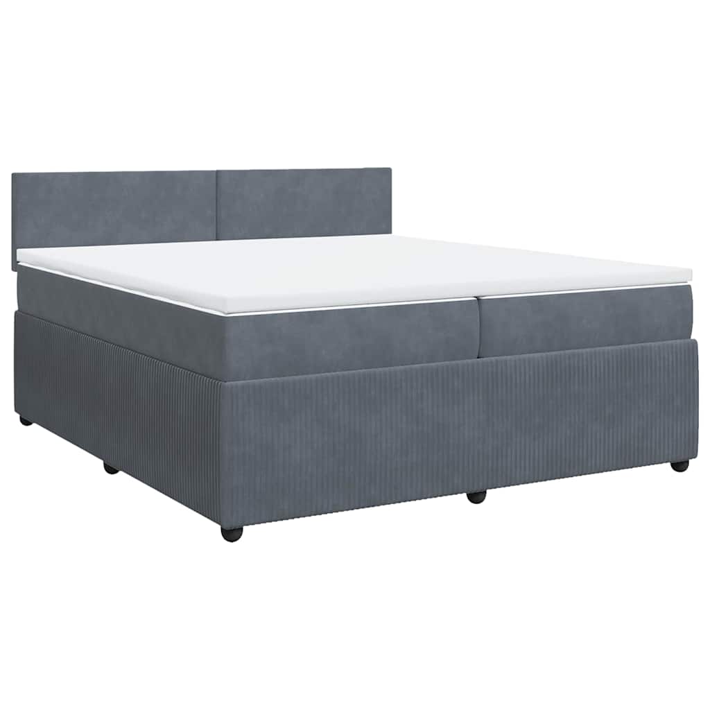 Cama com molas/colchão 200x200 cm veludo cinzento-escuro